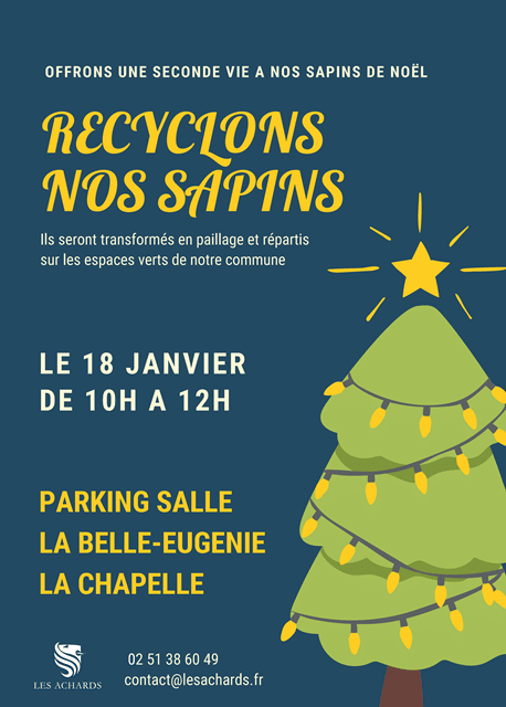 Recyclons nos sapins de Noël - Action Barbès