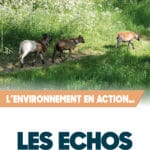 Les-Echos-des-Achards-2021